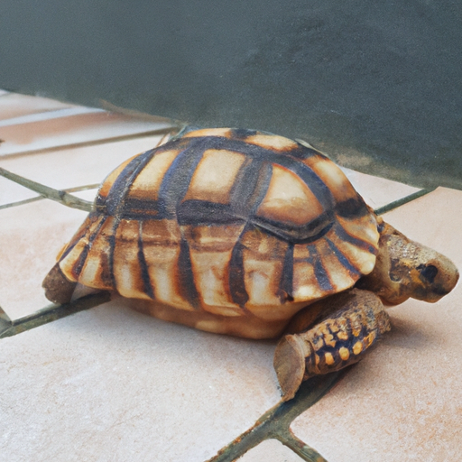 🐢 ¡Conoce a la Tortuga: la mascota que se toma su tiempo y roba corazones! 🌍