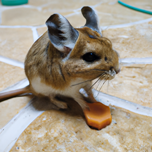 🐭 Jerbos: ¡Los adorables saltadores del desierto que te robarán el corazón! 🌟